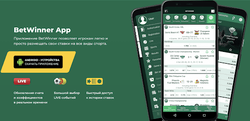 Explore the Exciting World of BetWinner Bets